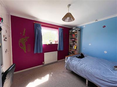Picture 7